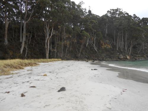 Bruny Ocean Cottage