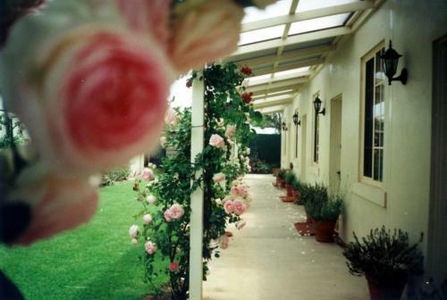 Merton Manor Exclusive B&B