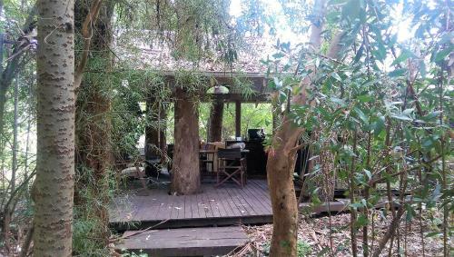 Villa Black Cockatoo Lodge