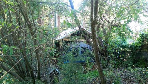 Villa Black Cockatoo Lodge