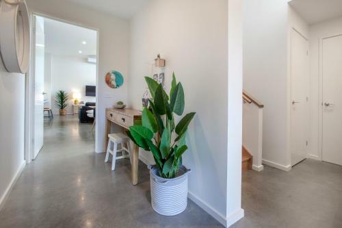 Bellair Luxe