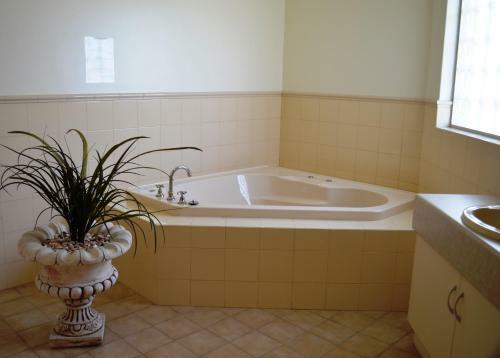 Country Roads Motor Inn Naracoorte