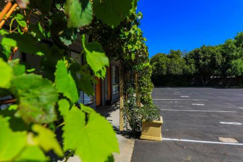 Country Roads Motor Inn Naracoorte