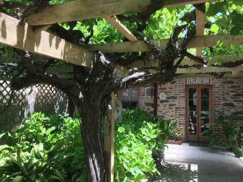 Bed & Breakfast Bluebird Cottage