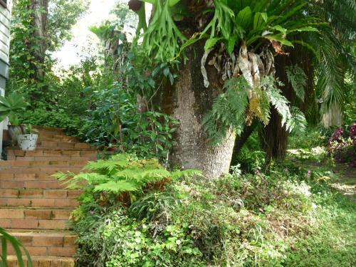 Bed & Breakfast Mt Warning Retreat