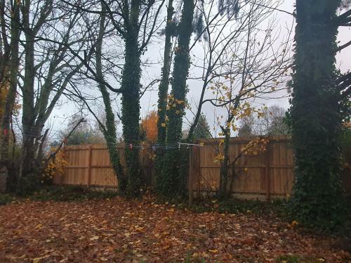 Abelia Cottages Botanical