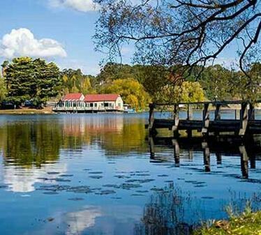 Abelia Cottages Botanical