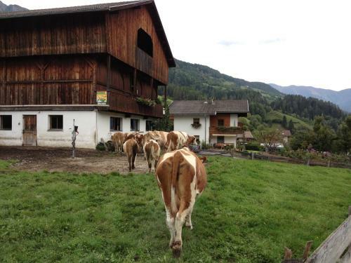 Apartamento Bacherhof