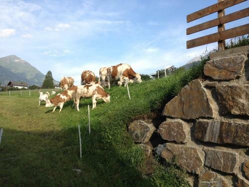 Apartamento Bacherhof