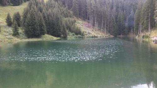 Hostal Apart Garni Wiesenhof