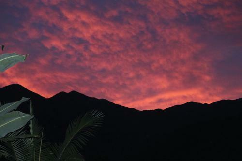 Mossman Gorge Bed And Breakfast