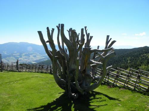 Urlaub Im Zirbenland