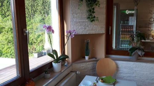 Bed & Breakfast Haus Sieben - Singer Lydia