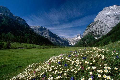 Cordial Familien & Vital Hoteldorf