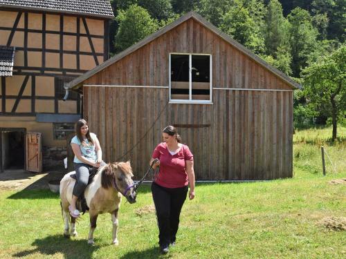 Holiday Home Am Ferienbauernhof II