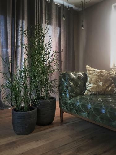 Apartamento Neuwerk