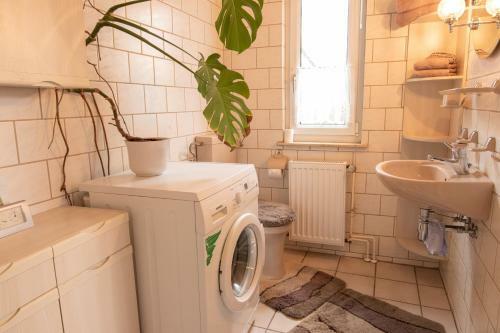 Apartamento Ferienwohnung Mit S�dterrasse