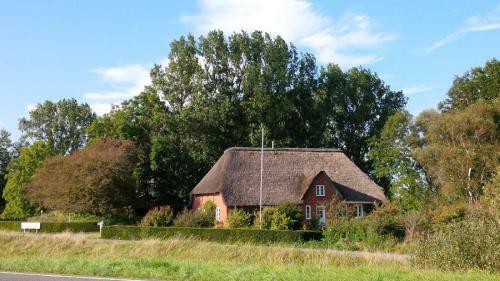 Rosenkate