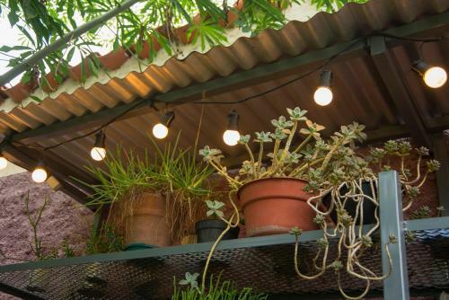 Feliza Hostel