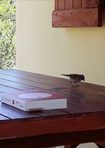 Pasos Cortos Caba�as Nono