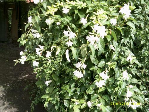 Apartamento Las 4 Estrellas Rojas