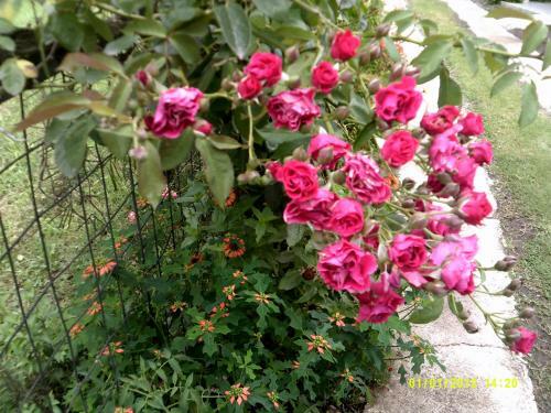 Apartamento Las 4 Estrellas Rojas