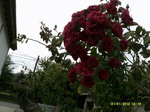 Apartamento Las 4 Estrellas Rojas