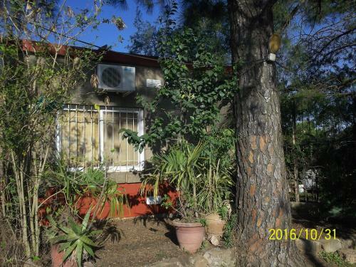La Casa De Los Pinos