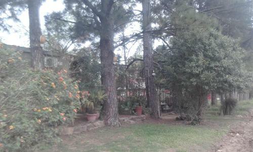 La Casa De Los Pinos