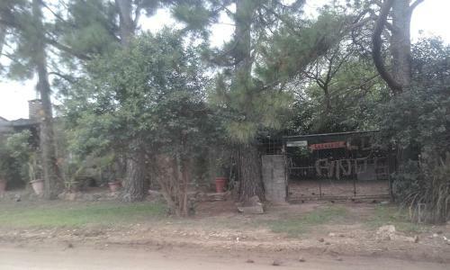 La Casa De Los Pinos