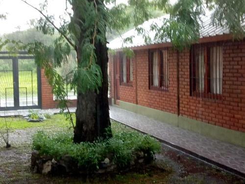 Apartamento Caba�as Buen Dia