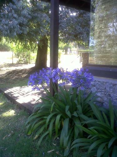 Lodge Las Caba�as Del Sur