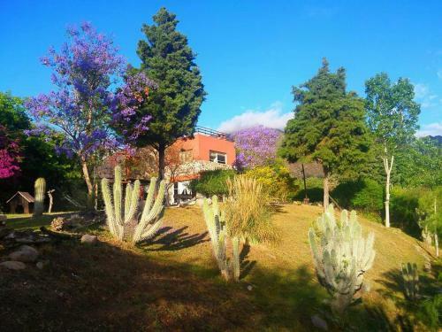 Caba�as Altos Del Velazco