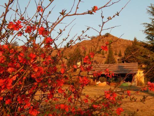 Lodge El Ayllo - Caba�as Serranas