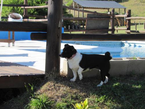 Lodge El Ayllo - Caba�as Serranas