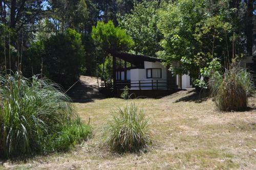 Las Cortaderas