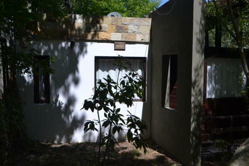 Las Cortaderas
