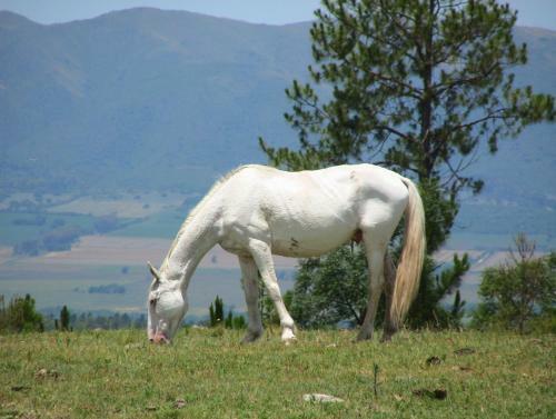 Aires De La Colina