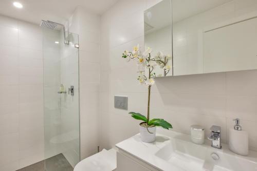 Balmain Rozelle Luxury 2 Bed Self Contained Apartment (105lil)