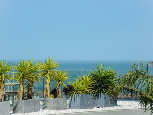 Apartamentos Boutique Stays - Hampton Lookout