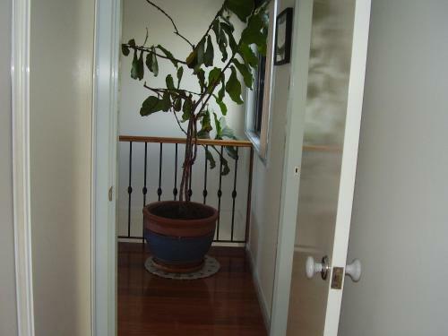 Apartamento Strathmore Lodge