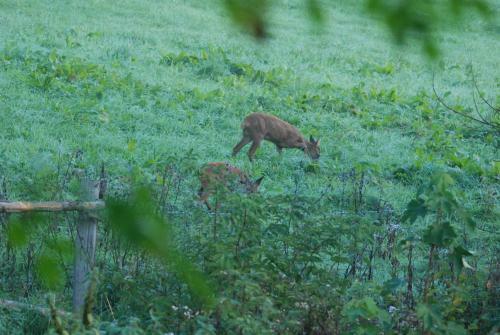 B&B Het Groote Genoegen