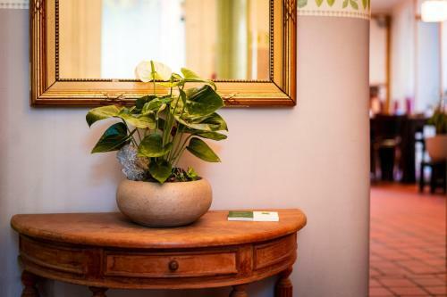 Hotel Flandria-centrum
