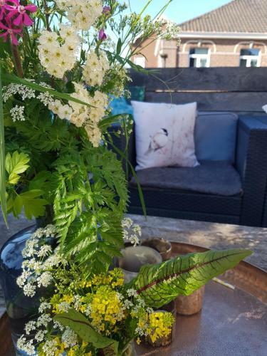 Bed & Breakfast Maison Sophie