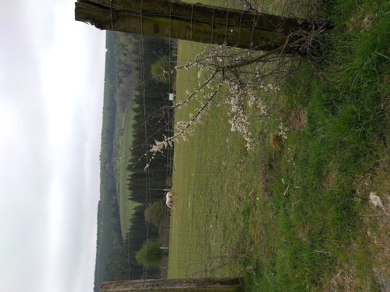 Bed & Breakfast Au Fil Des Saisons Sur La Wiels