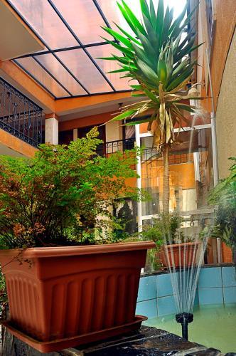 Hotel Fuentes