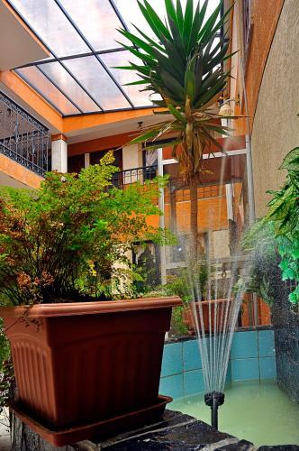 Hotel Fuentes