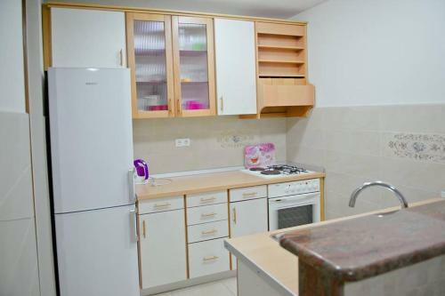 Apartments Domane Nenad