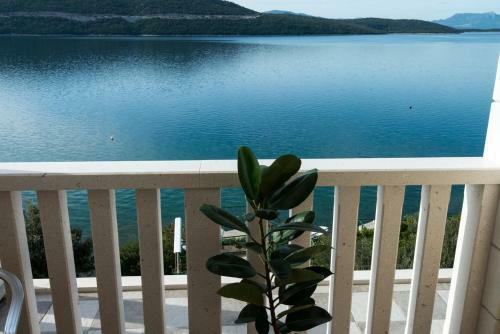Hotel Porat