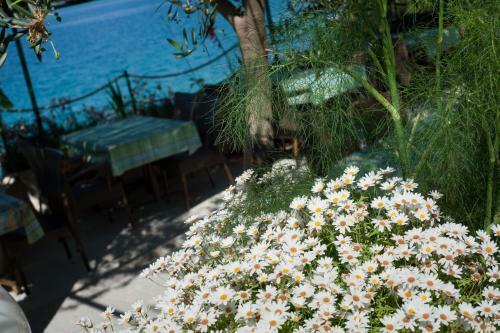 Hotel Porat